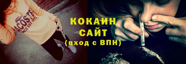 индика Абинск