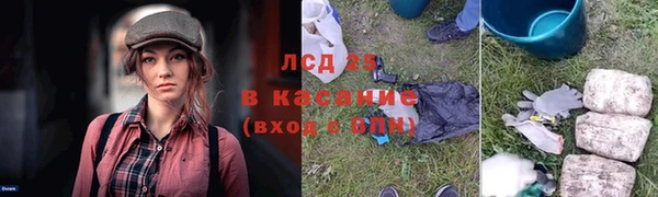 индика Абинск