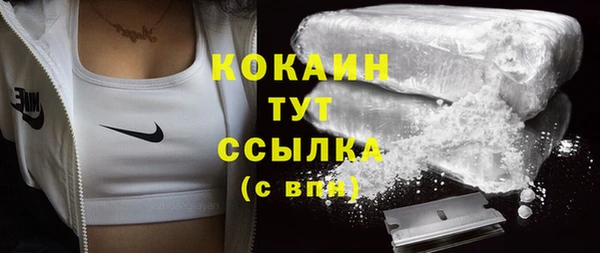 прущие грибы Абдулино