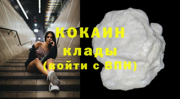 прущие грибы Абдулино