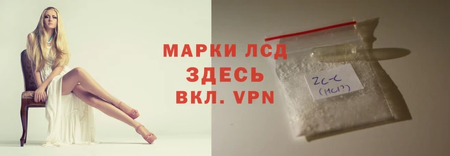 индика Абинск