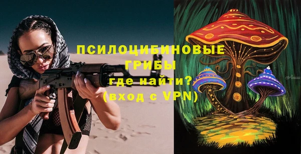 марки lsd Абаза