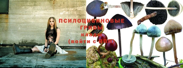 индика Абинск