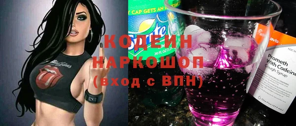 индика Абинск