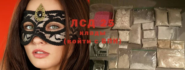индика Абинск