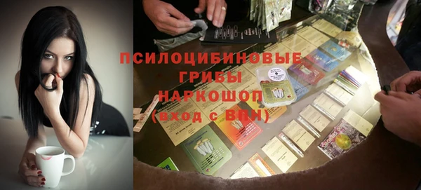 индика Абинск