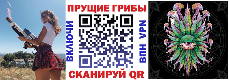 blacksprut вход  Кириллов  Галлюциногенные грибы Psilocybine cubensis 